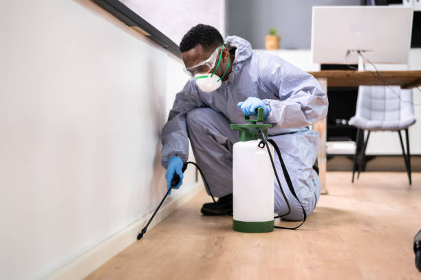 Best Fumigation Services  in USA